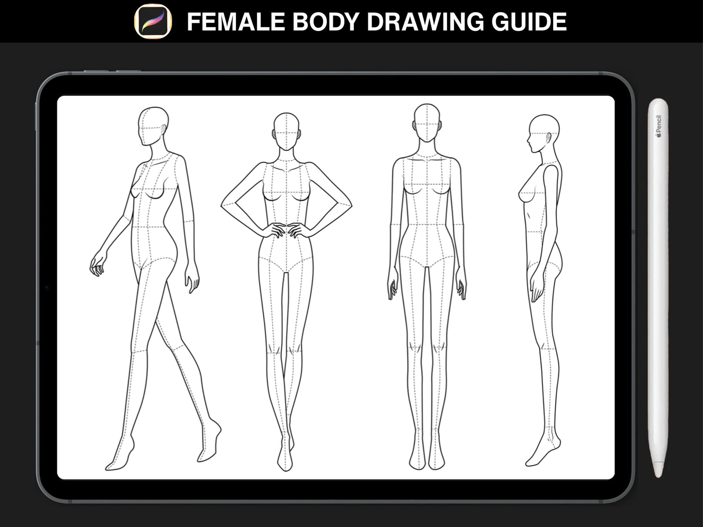 100 Female Body Pose Stamps for Procreate | Fashion Figure Poses & Illustration Templates